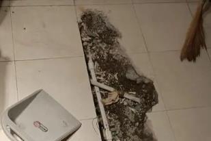 武邑卫生间漏水检测电话
